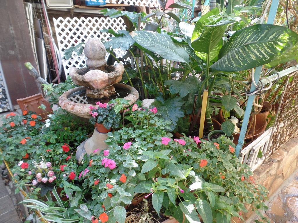 Апартаменты Cozy Garden Иерусалим Экстерьер фото