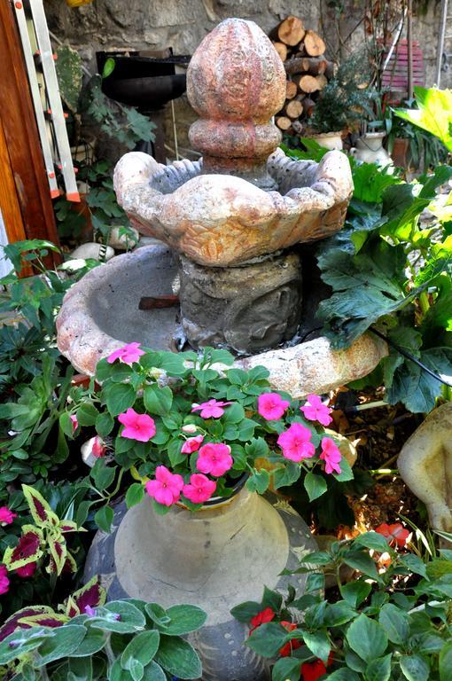 Апартаменты Cozy Garden Иерусалим Экстерьер фото