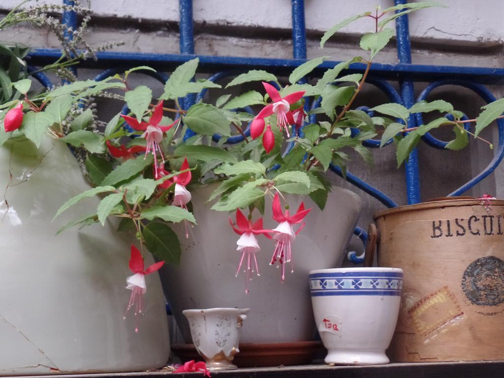 Апартаменты Cozy Garden Иерусалим Экстерьер фото
