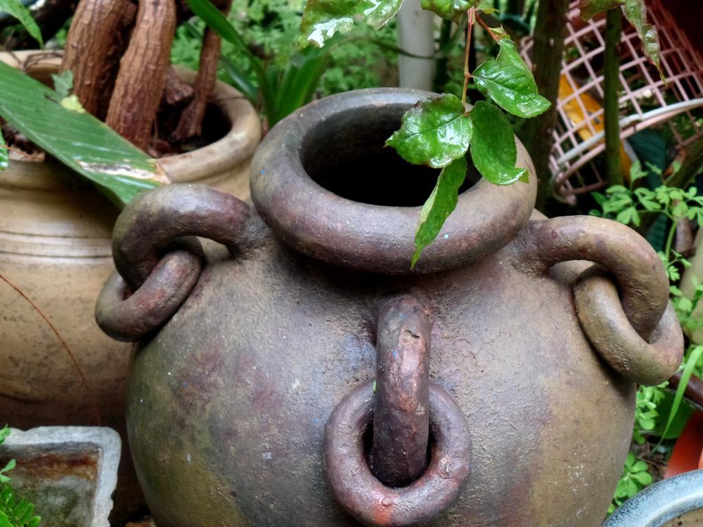 Апартаменты Cozy Garden Иерусалим Экстерьер фото