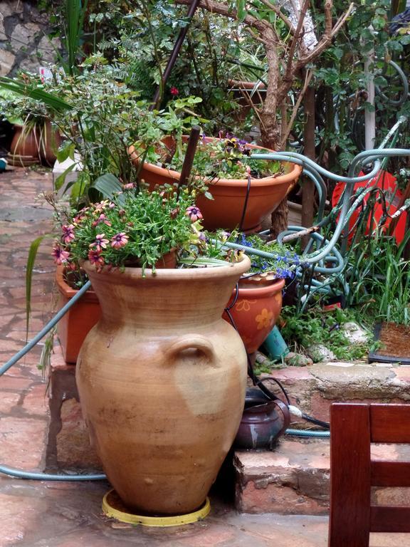 Апартаменты Cozy Garden Иерусалим Экстерьер фото