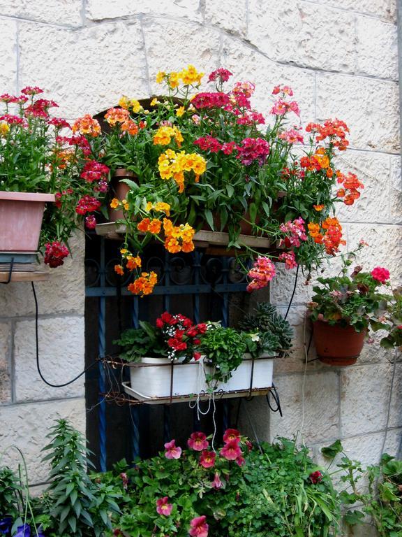 Апартаменты Cozy Garden Иерусалим Экстерьер фото