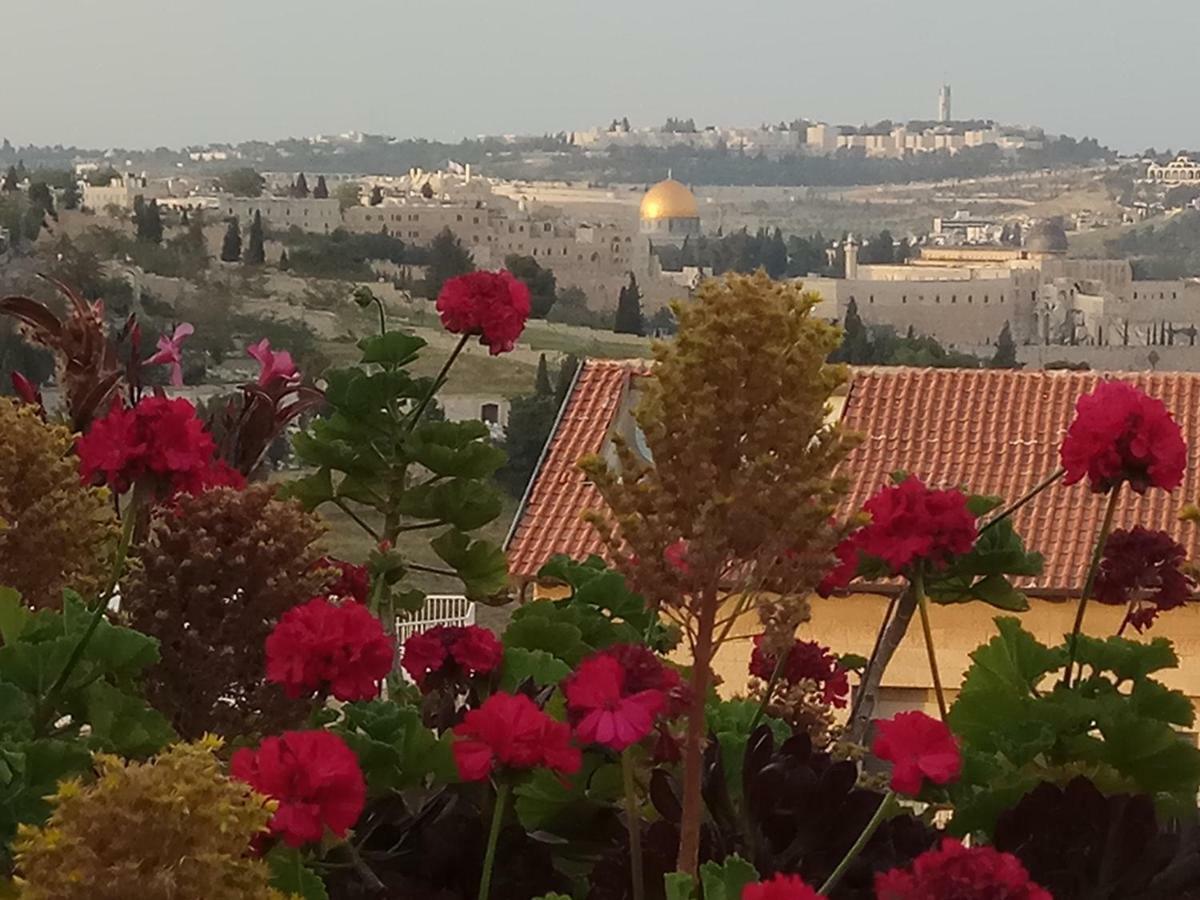 Апартаменты Cozy Garden Иерусалим Экстерьер фото